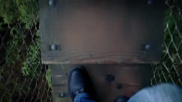 POV Caminando en la pasarela del bosque — Vídeos de Stock