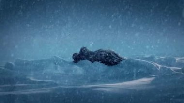 Karda garip yabancı nesne