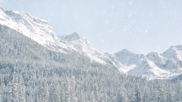 Nieva en las montañas — Vídeos de Stock