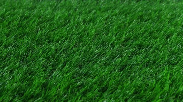 Sports Field Synthetic Grass Surface — Stock Video