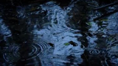 Karamsar Akşam Işığında Orman Havuzu 'na Yağmur yağışıweather forecast