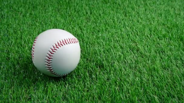 Бейсбол Траві Відстежити Постріл — стокове відео