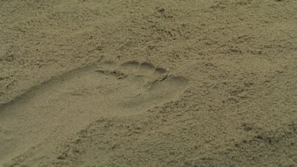 砂の中の足の印刷 — ストック動画