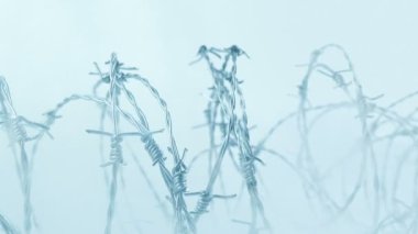 Dikenli Tel Duman Çekimi