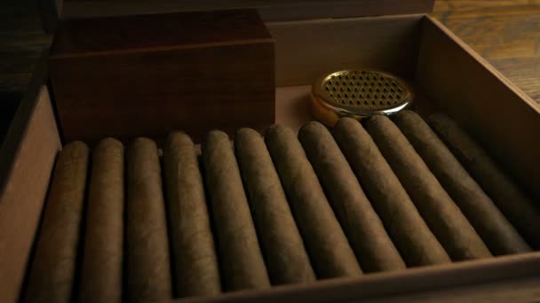 Hombre Toma Cigarro Caja Del Humidor — Vídeo de stock