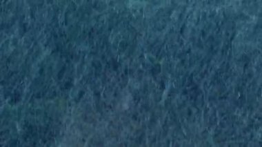 Arkaplanda Ağaçlarla Şiddetli Kar yağışıweather forecast