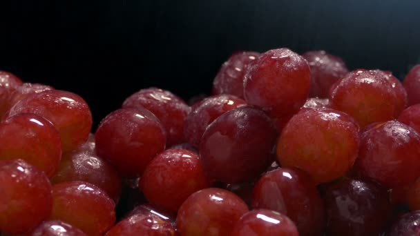 Rode Druiven Fijne Mistige Spray — Stockvideo