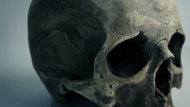 Laboratuvardaki Yaşlı Kafatası Hareketli Atış