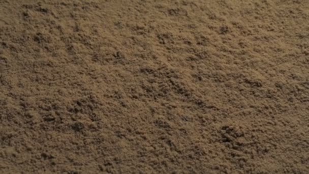 Sand Overflade Tekstur Bevægelige Skud – Stock-video