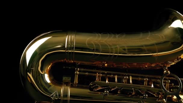 Passage Corps Saxophone Dans Profil — Video