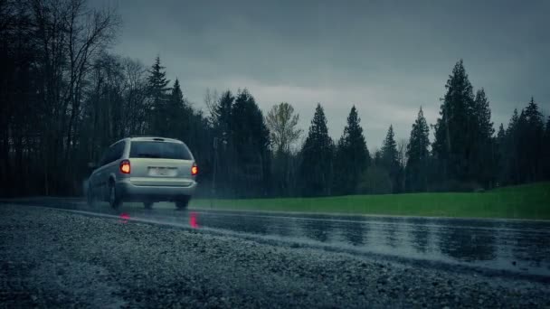 Automobily Hustém Dešti Zalesněné Oblasti — Stock video