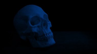 Karanlıktaki Kafatası