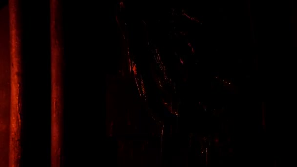在闪光的紧急光中黑暗中移动的泥浆生物 — 图库视频影像