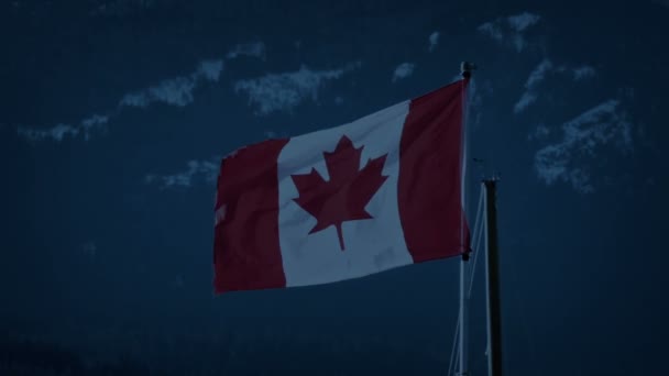 Canadian Flag Windy Evening — Stock Video