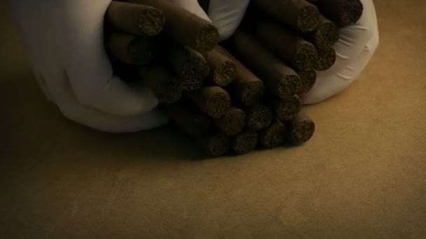 Cigarros Clasificados Extendidos Fábrica — Vídeo de stock