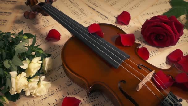 Housle Okvětními Lístky Růže Rozptýlená Hudba Passion Koncept — Stock video
