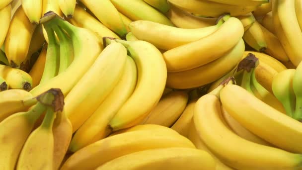 Bananas Enchem Tela Bunches Solteiro — Vídeo de Stock