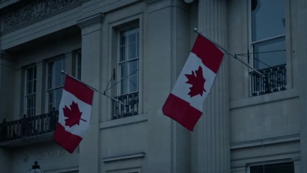 Канадские Флаги Здании Вечернее Время — стоковое видео