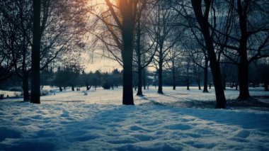 Kar Altında Gün Batımı Park İzleme Çekimi