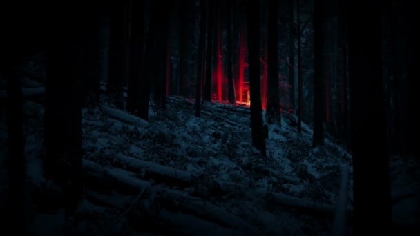 夜间点起雪地森林的火光 — 图库视频影像