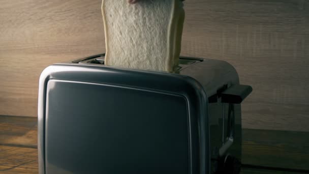 Weißbrot Wird Toaster Gelegt Und Taucht Auf — Stockvideo