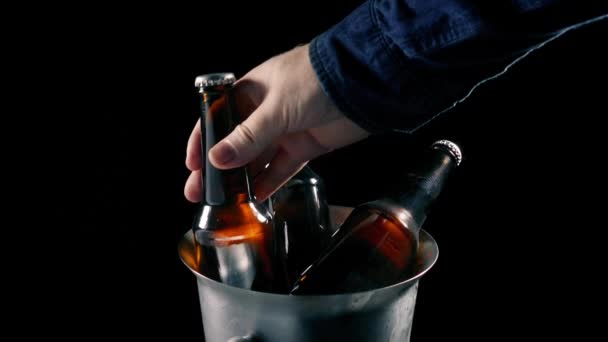Cold Beer Taken Ice Bucket — Wideo stockowe