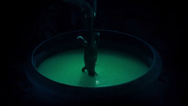 Witch Adds Newt Cauldron Smokes — Stock Video