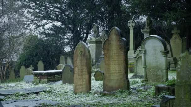 Alter Friedhof Winter Mit Schneefall — Stockvideo