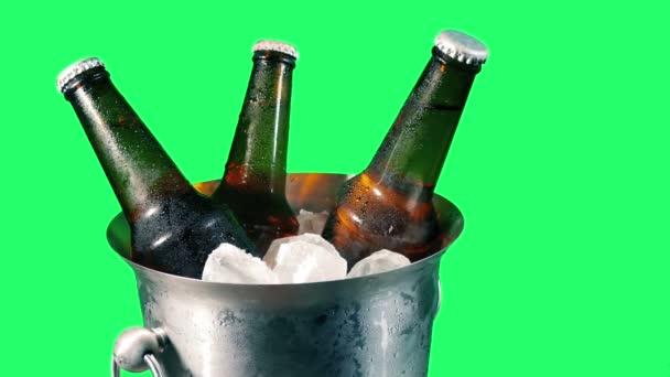 冰桶中的啤酒 绿屏隔离 — 图库视频影像
