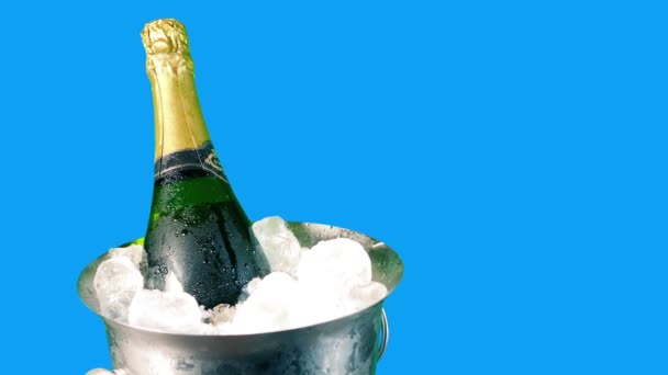 Champagne Ice Bucket Bluescreen Geïsoleerd — Stockvideo