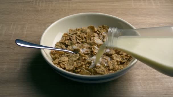 Cereal Desayuno Con Leche Vertiendo — Vídeo de stock