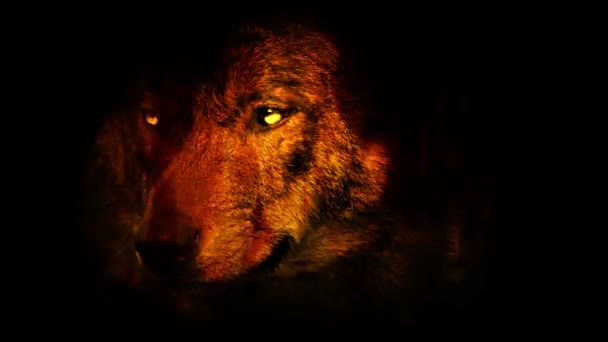 Vlk Vrčí Ohni Zářícíma Očima — Stock video