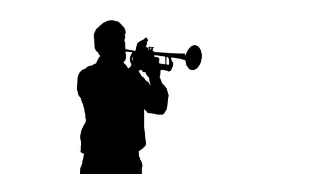 Homme Jouant Trompette Musicien Jouant Silhouette — Video