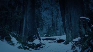 Akşamları eğrelti otları ve ağaçlara kar yağar