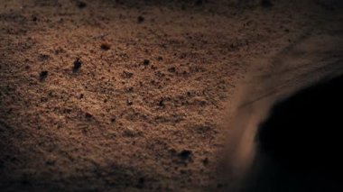 Horus 'un Mısır Gözü Arkeolog Tarafından Ortaya Çıkarıldı