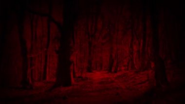 Canavar POV Orman Yolu boyunca ilerliyor