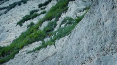 Dik Çimen Yüzlü Uçurum Hareketli Çekim