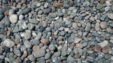 Sayısız Kumsal Çakıl Taşları Üzerinde Taşıma