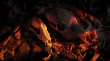 Mağara Adamı Kafatası ve Ateşteki Aletler Hayatta Kalma Konsepti