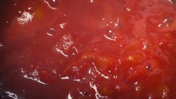 Cooking Tomatoes Stirring Spoon — Stock Video