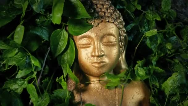 Gold Buddha Statue Revealed Jungle Plants — Stockvideo