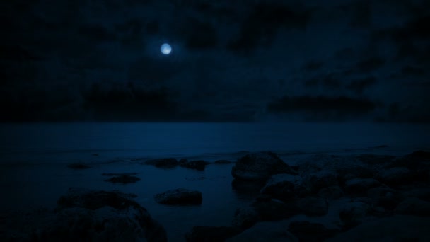 Sea Shore Noite Calma Luar — Vídeo de Stock