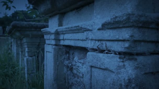 Krypta Wietrznym Cmentarzu Późnym Wieczorem — Wideo stockowe
