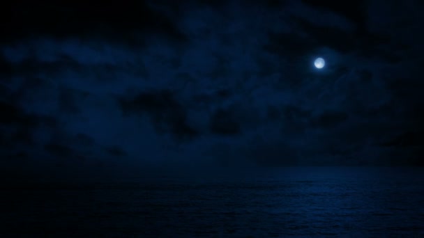 月明かりの中の夜のオーシャンビスタ — ストック動画