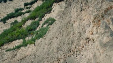 Uçurum Yüzlü Bitkisel Yaşama Vuruşu