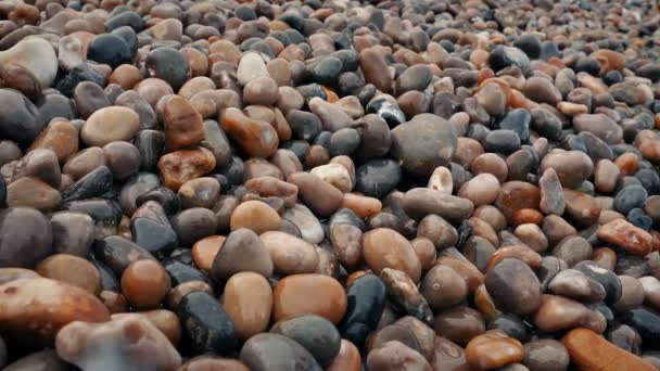 Wet Beach Shore Stones Moving Shot — Vídeo de Stock