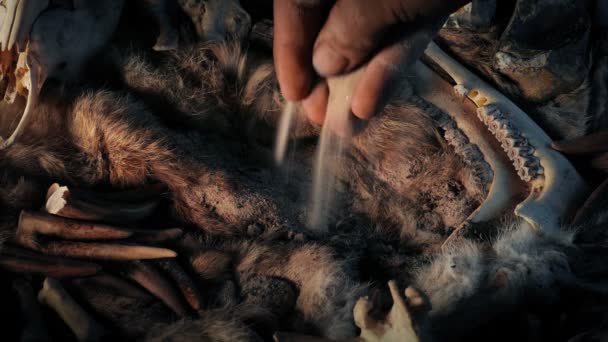 砂と頭蓋骨が毛皮の上に置かれている古代の狩猟儀式 — ストック動画