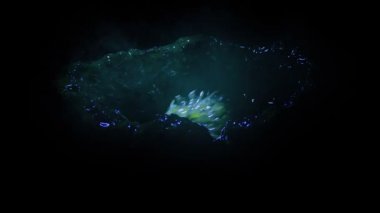 Dondurucu Soğuk Mağarada Uzaylı Yumurtası Meşaleyle Tutuştu