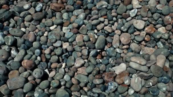 Renkli Kumsal Çakıl Taşları Zleme Çekimi — Stok video