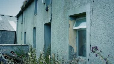 Terk Edilmiş Eski Ev Bitkilerle Kaplanmış